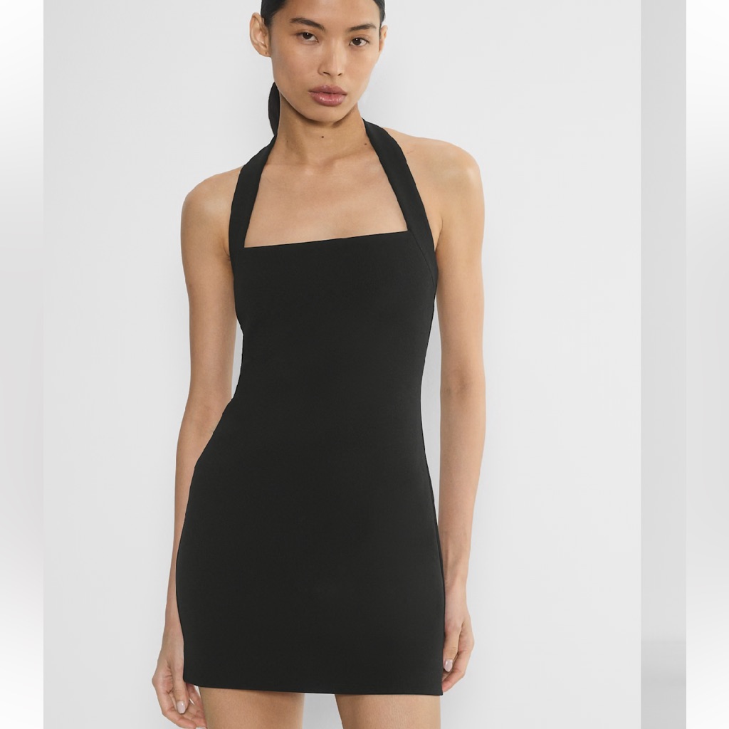 Aritzia Figureknit Cue Dress